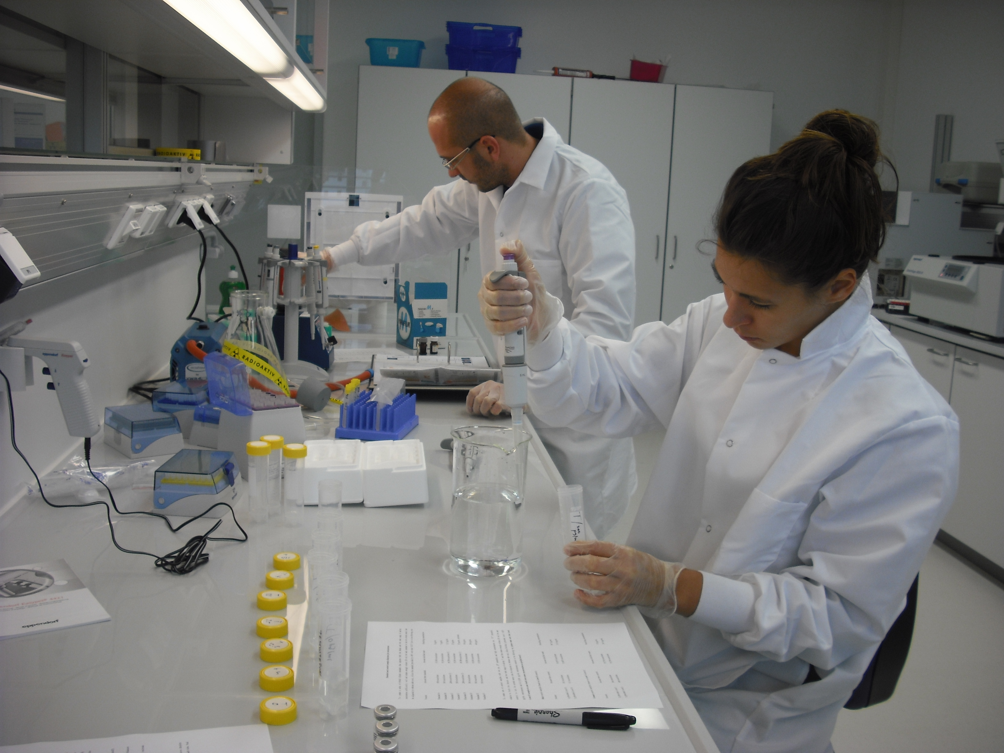 Work at the chair's hormone assay laboratory