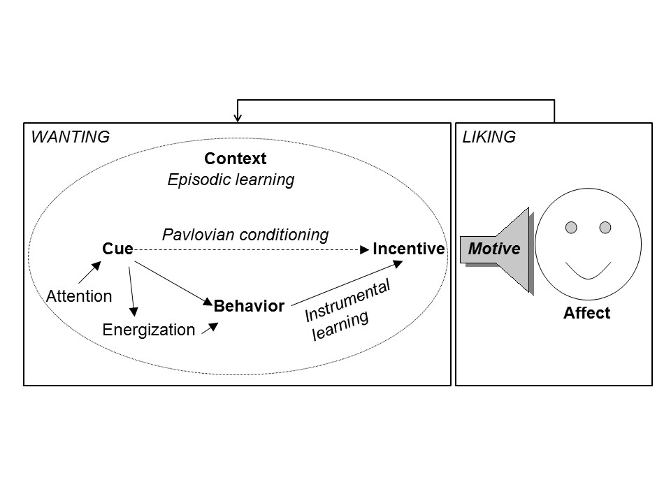Learning and affective processes involved in implicit motives (Schultheiss & Köllner, in press)