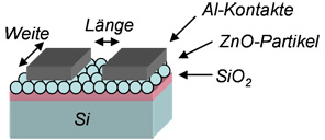 Schematische Darstellung des ZnO-Transistors